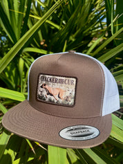 Cur Dog Patch Hat- Brown/White Flatbill